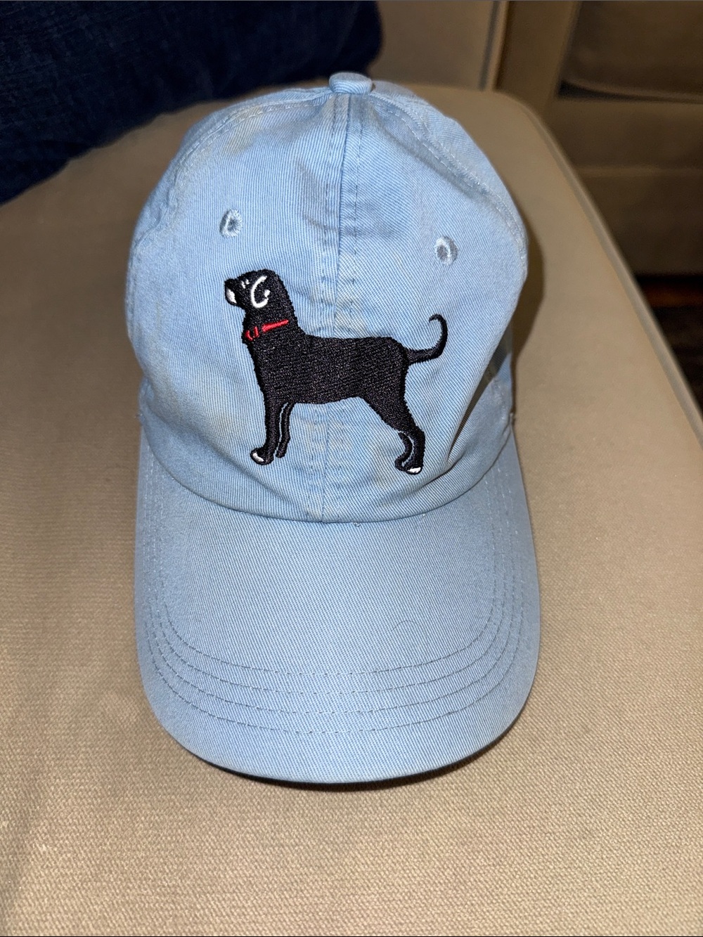 The Black Dog Light Blue Baseball Cap with Black Dog Embroidery